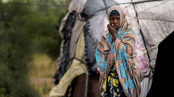 Ilhan's family now lives from growing fruit and vegetables. Weather extremes left the former shepherd family in the Awdal region of northwest Somaliland no choice but to settle down.<br />© Wuchenauer/Welthungerhilfe