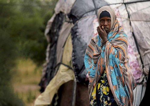 Ilhan's family now lives from growing fruit and vegetables. Weather extremes left the former shepherd family in the Awdal region of northwest Somaliland no choice but to settle down.<br />© Wuchenauer/Welthungerhilfe