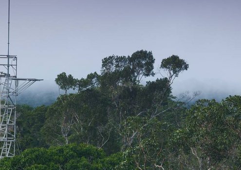 Measuring tower of the AmazonFACE project in the Brazilian rainforest.