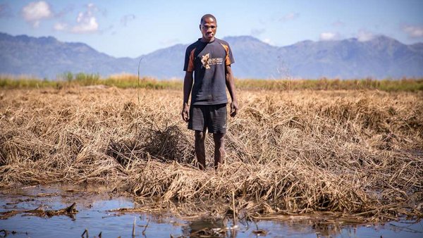 A man standing in his field devastated by cyclone Idai.